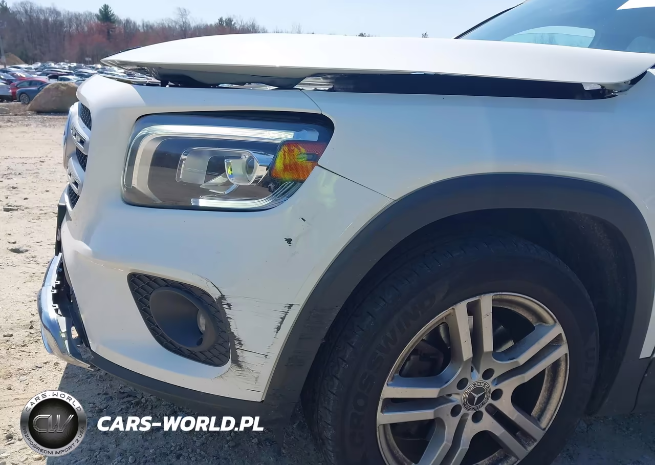 2020 Mercedes-Benz Glb 250 4Matic VIN:WDC4M4HB8LW008099 - 17