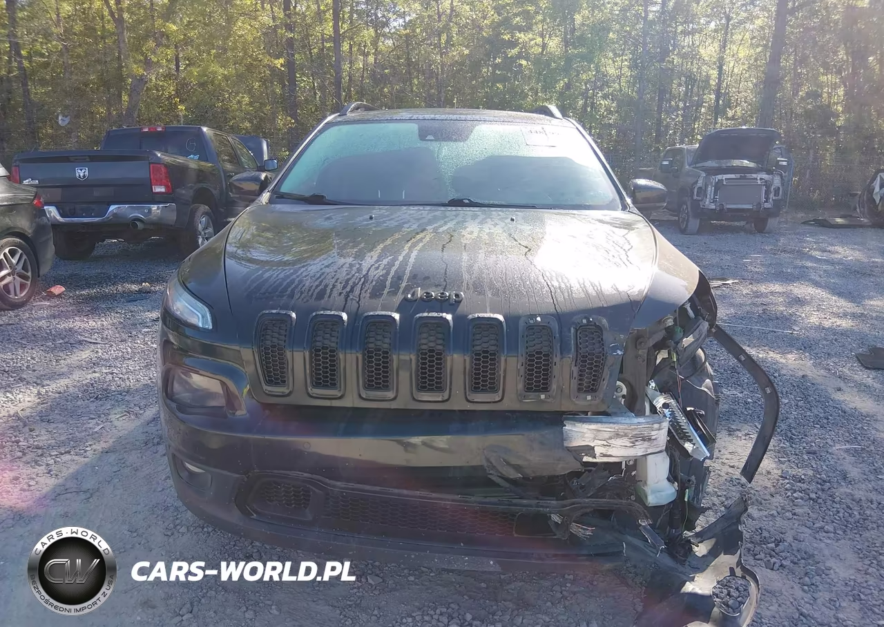 2016 Jeep Cherokee High Altitude VIN:1C4PJMDS4GW306009 - 12