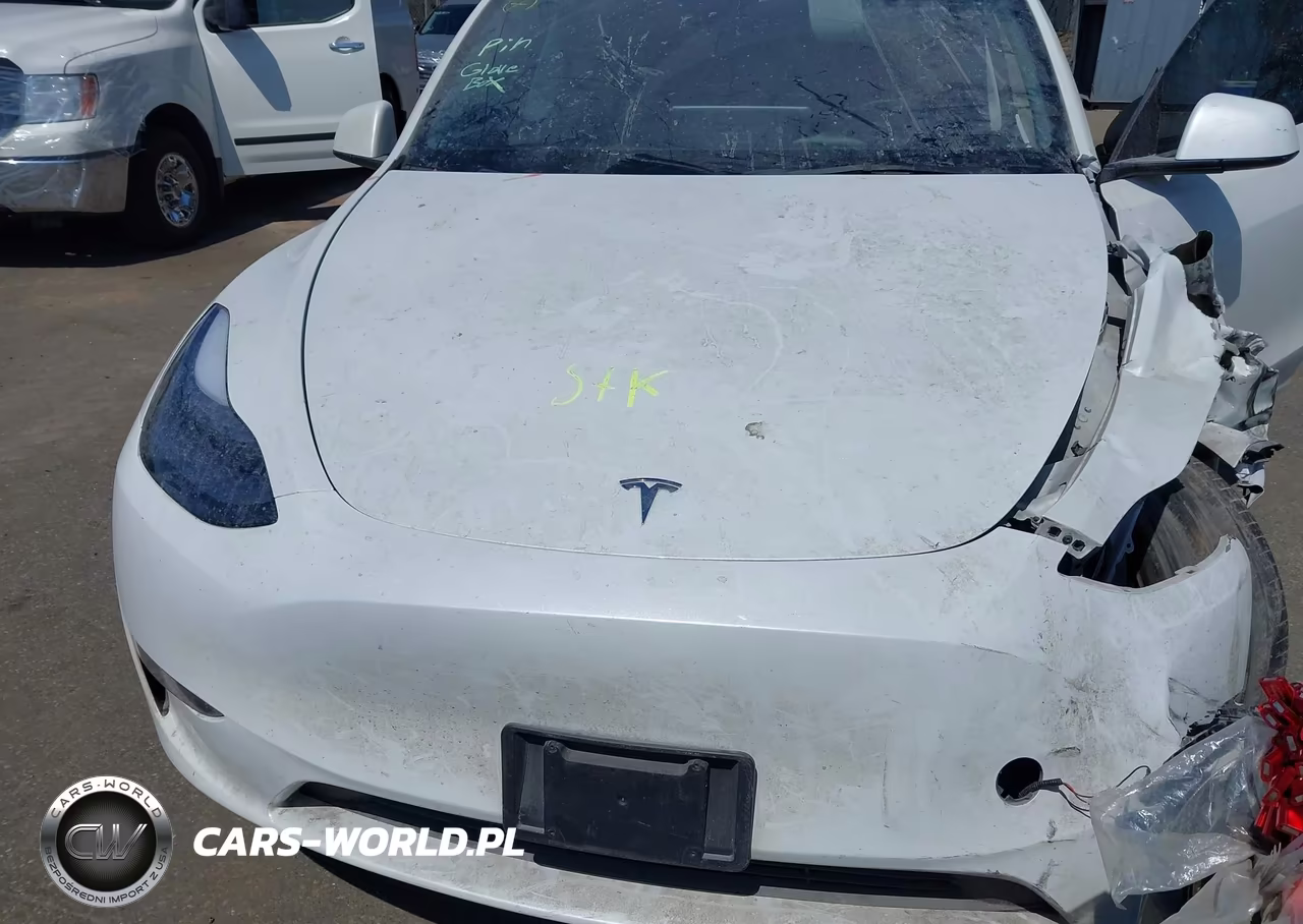 2023 Tesla Model Y Awd-Long Range Dual Motor All-Wheel Drive VIN:7SAYGDEE5PF763477 - 10