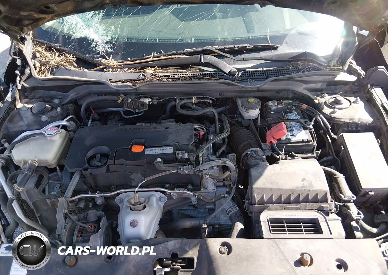 2020 Honda Civic Lx VIN:2HGFC2F68LH557913 - 10