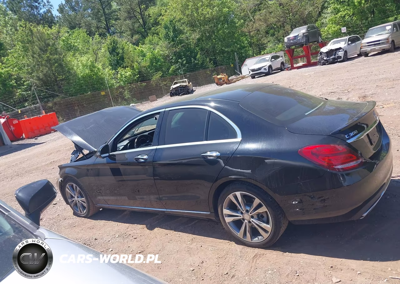 2017 Mercedes-Benz C 300 VIN:55SWF4JB3HU208420 - 15