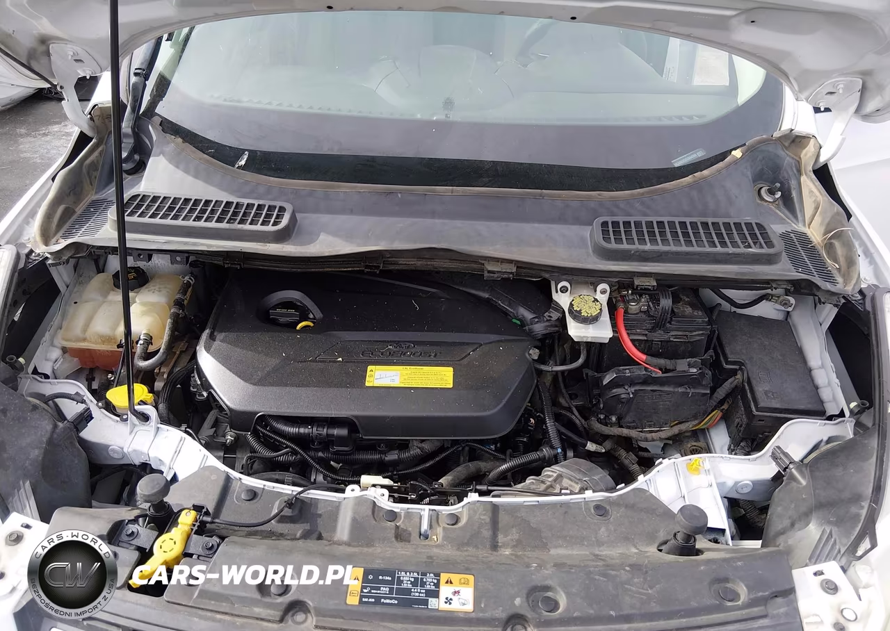 2014 Ford Escape Se VIN:1FMCU0GX5EUB64389 - 10