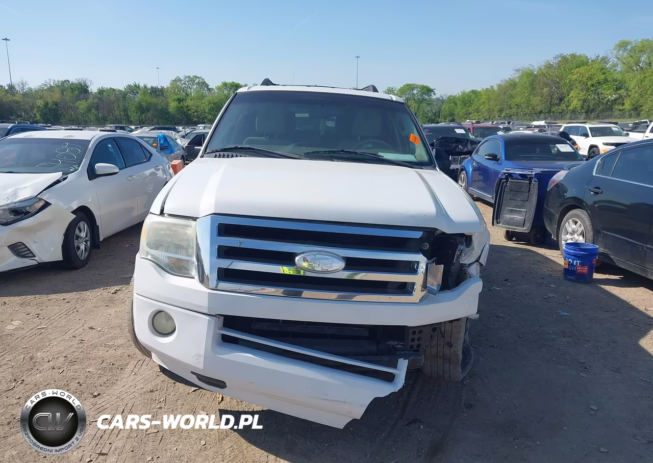2009 Ford Expedition Xlt VIN:1FMFU15509EB15329 - 12
