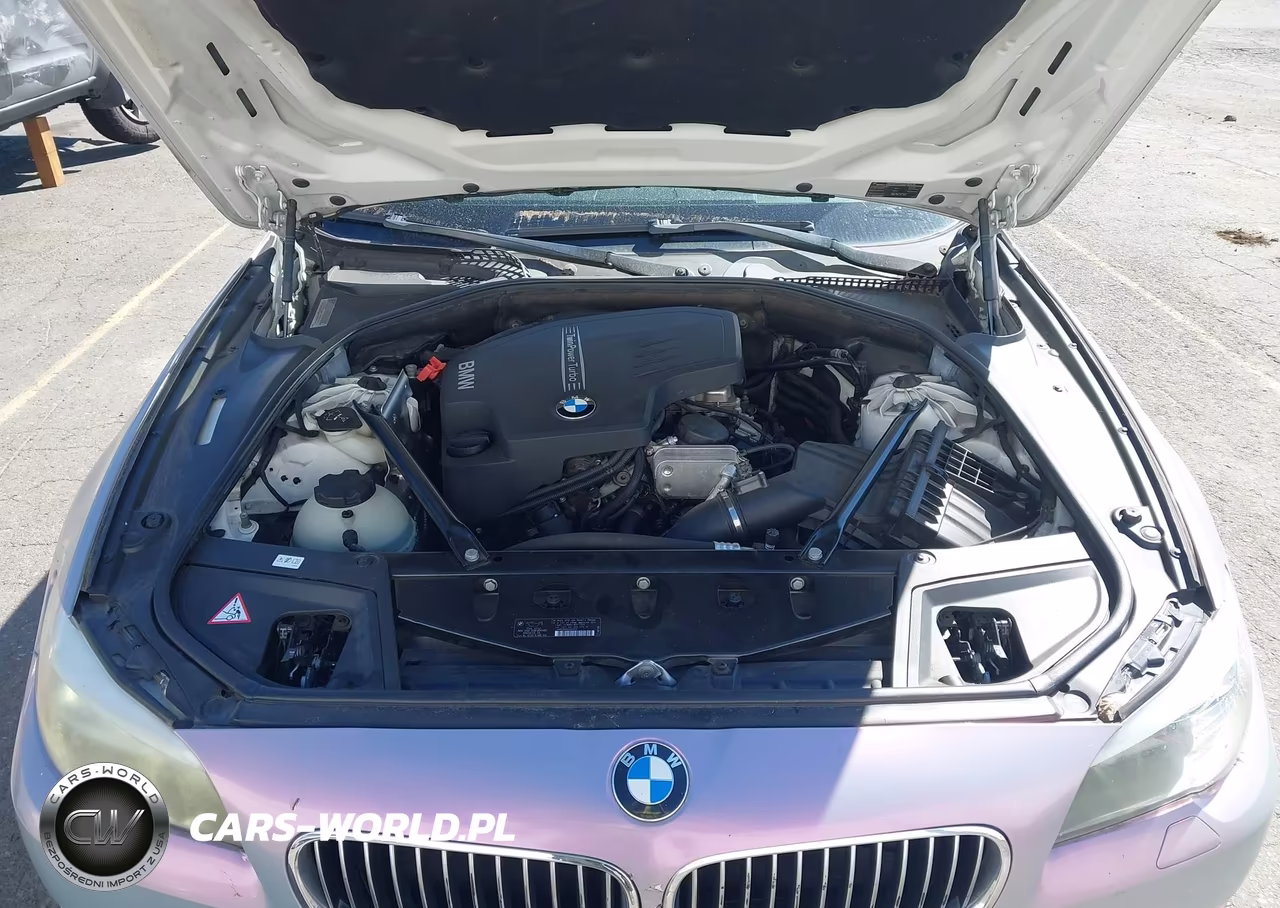 2013 BMW 528I VIN:WBAXG5C56DD229017 - 10