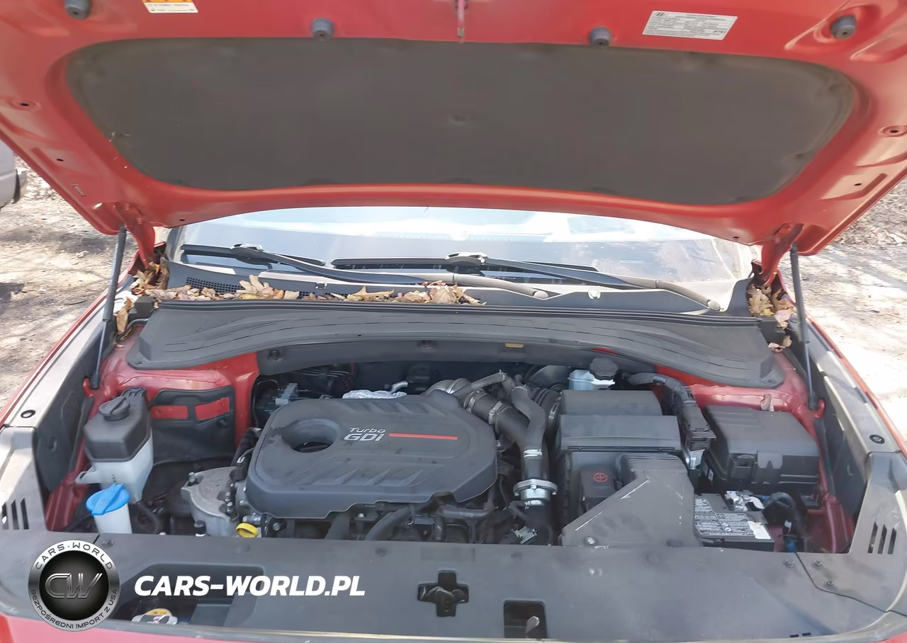 2020 Hyundai Santa Fe Limited 2.0T VIN:5NMS5CAAXLH261434 - 10