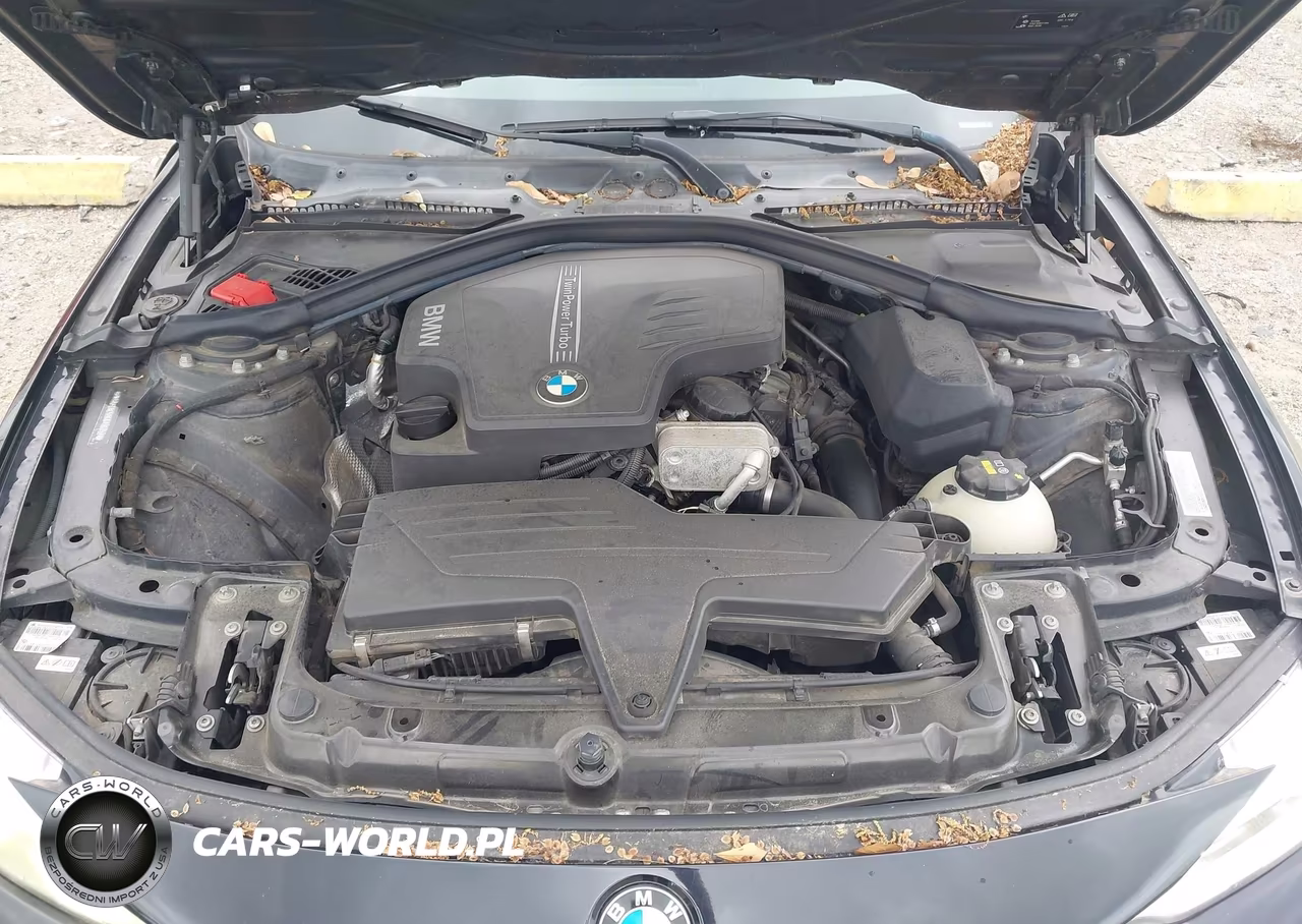 2016 BMW 428I Gran Coupe xDrive VIN:WBA4C9C58GG136752 - 10