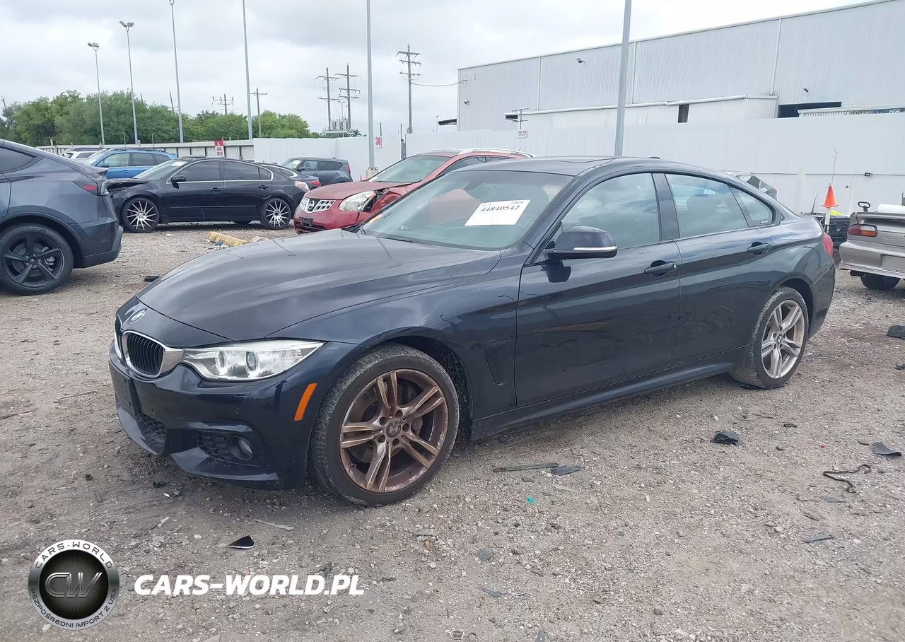 2016 BMW 428I Gran Coupe xDrive VIN:WBA4C9C58GG136752 - 2