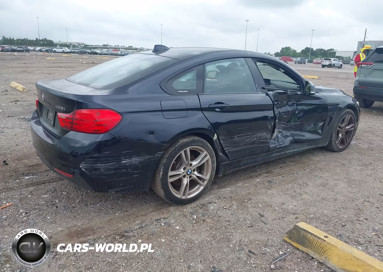 2016 BMW 428I Gran Coupe xDrive VIN:WBA4C9C58GG136752 - 4