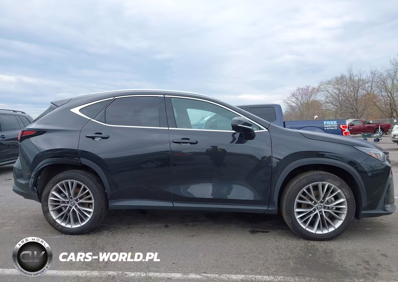 2025 Lexus Nx 350 Premium VIN:2T2GGCEZ7SC078671 - 13