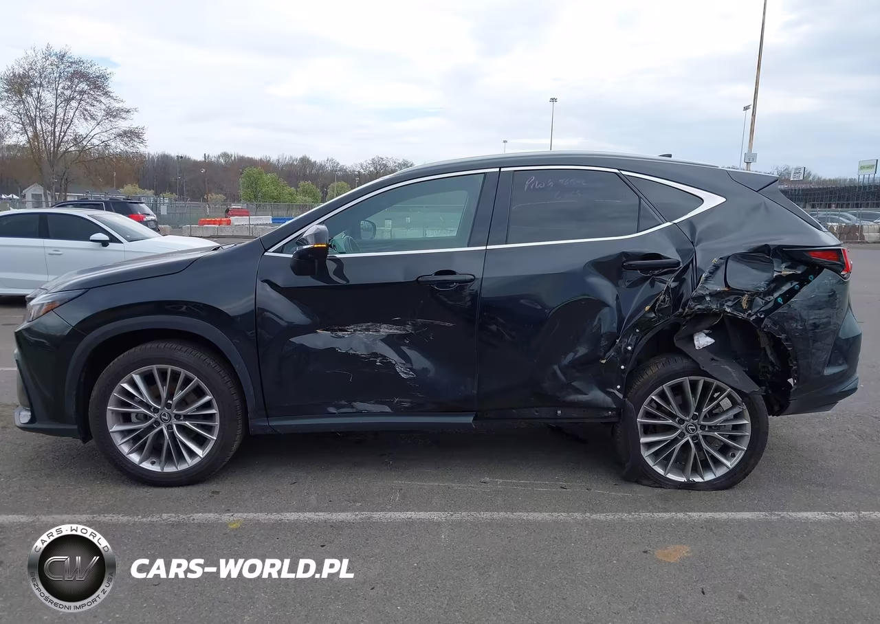2025 Lexus Nx 350 Premium VIN:2T2GGCEZ7SC078671 - 6