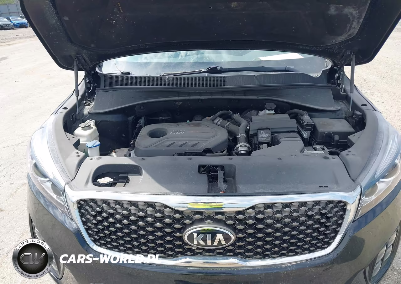 2016 Kia Sorento 2.0T Sxl VIN:5XYPKDA13GG041735 - 10