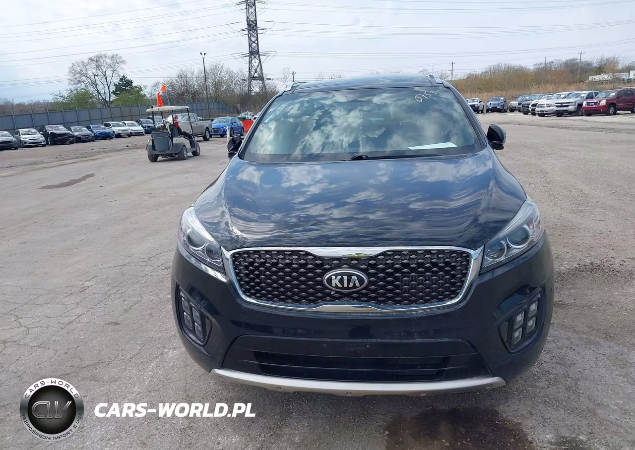 2016 Kia Sorento 2.0T Sxl VIN:5XYPKDA13GG041735 - 11