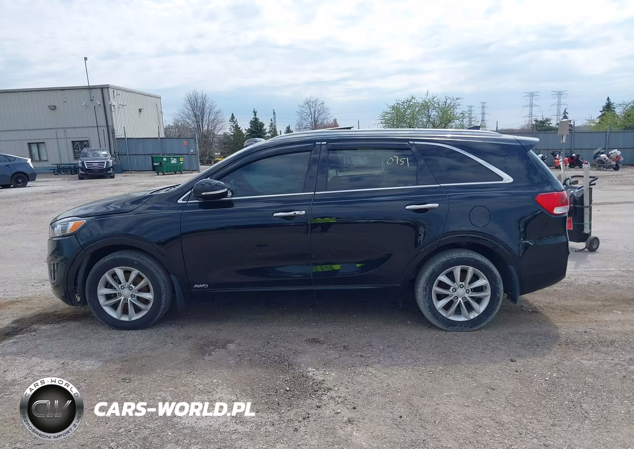 2016 Kia Sorento 2.0T Sxl VIN:5XYPKDA13GG041735 - 13