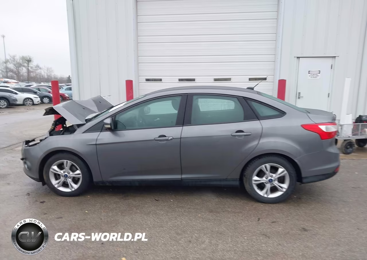2014 Ford Focus Se VIN:1FADP3F2XEL316332 - 15
