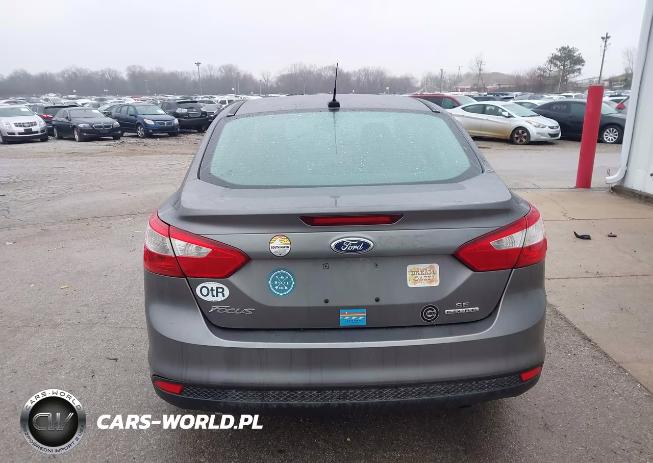 2014 Ford Focus Se VIN:1FADP3F2XEL316332 - 17
