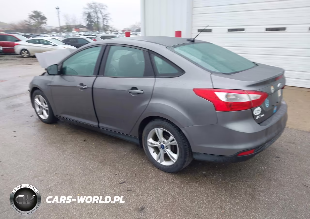 2014 Ford Focus Se VIN:1FADP3F2XEL316332 - 3