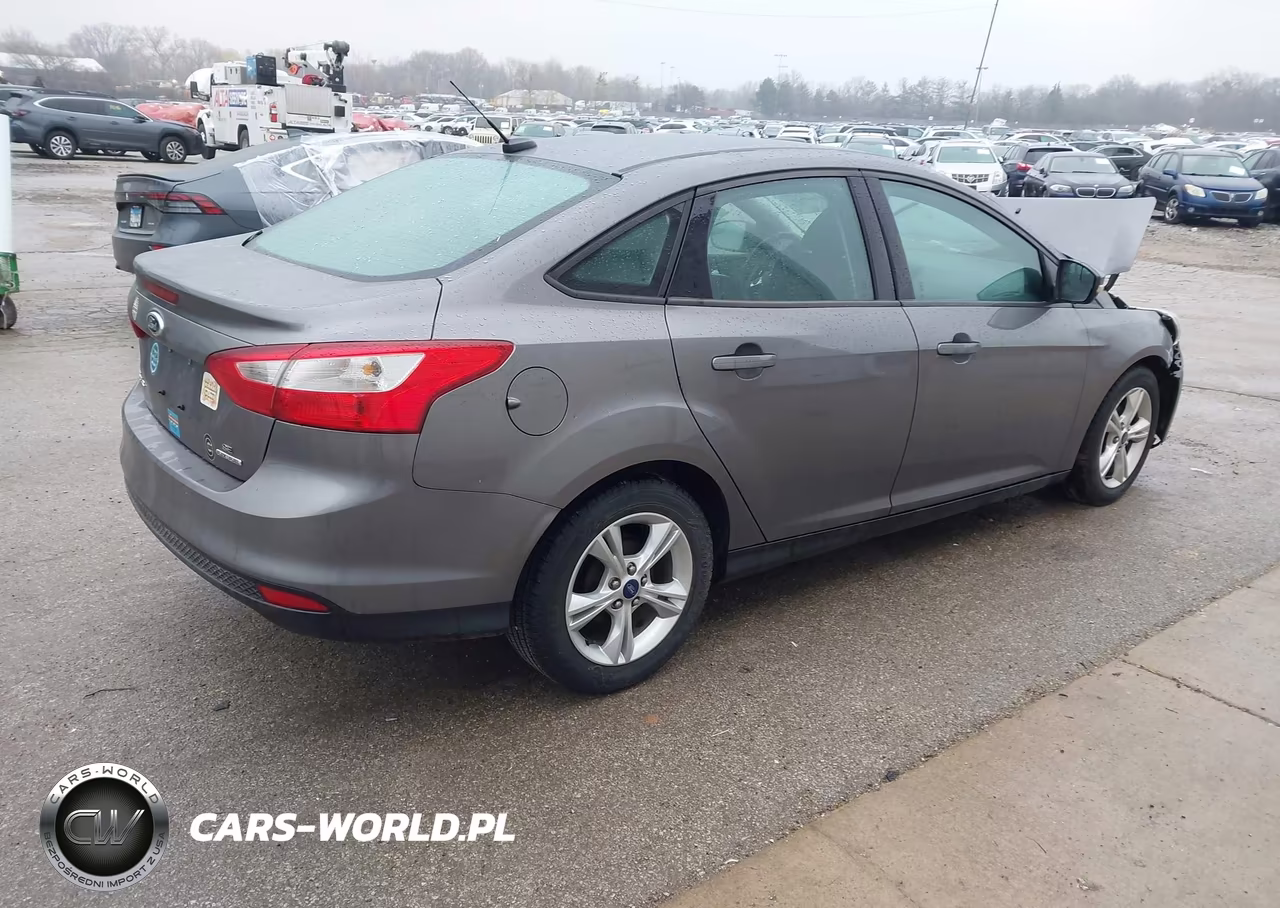 2014 Ford Focus Se VIN:1FADP3F2XEL316332 - 4