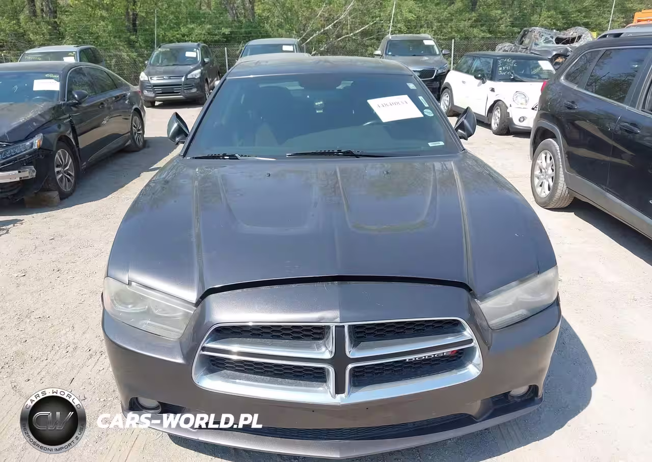 2013 Dodge Charger R-T VIN:2C3CDXCT0DH640831 - 12
