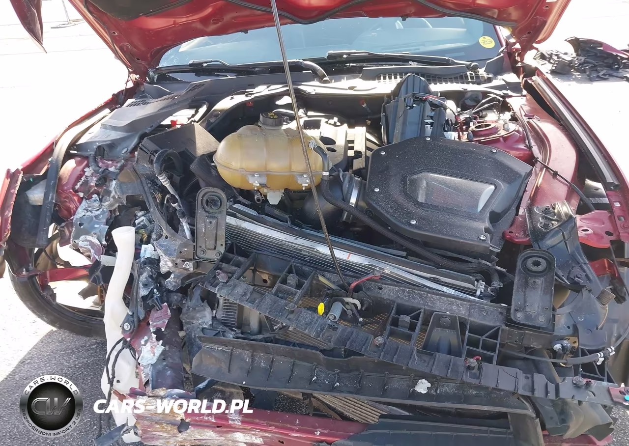 2019 Ford Mustang Ecoboost Premium VIN:1FA6P8TH2K5120321 - 10