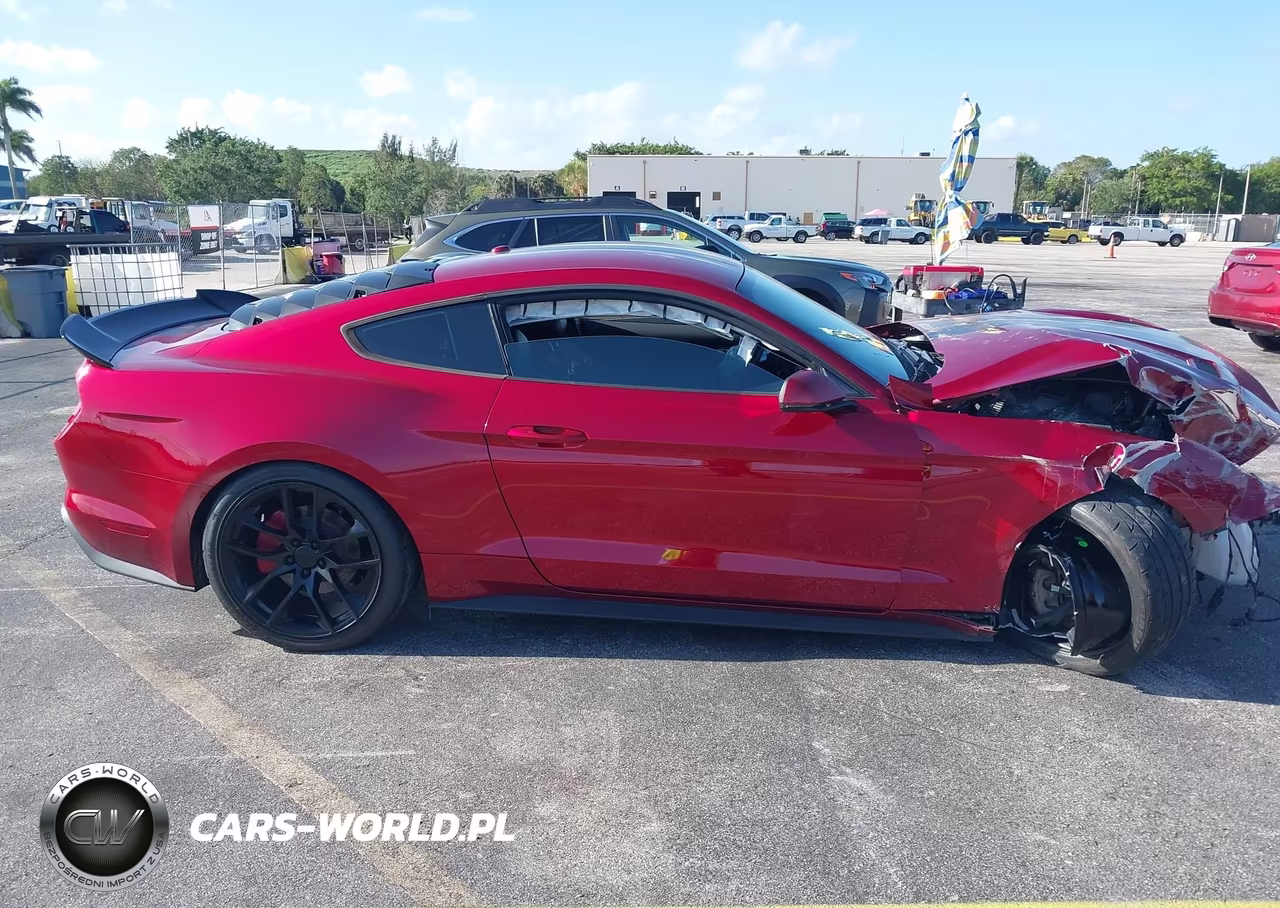 2019 Ford Mustang Ecoboost Premium VIN:1FA6P8TH2K5120321 - 14