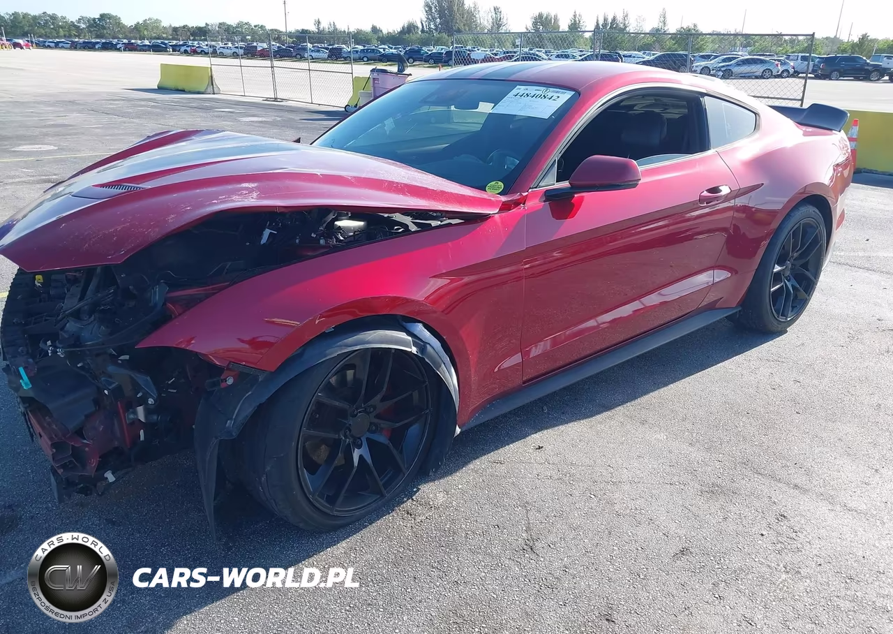 2019 Ford Mustang Ecoboost Premium VIN:1FA6P8TH2K5120321 - 2