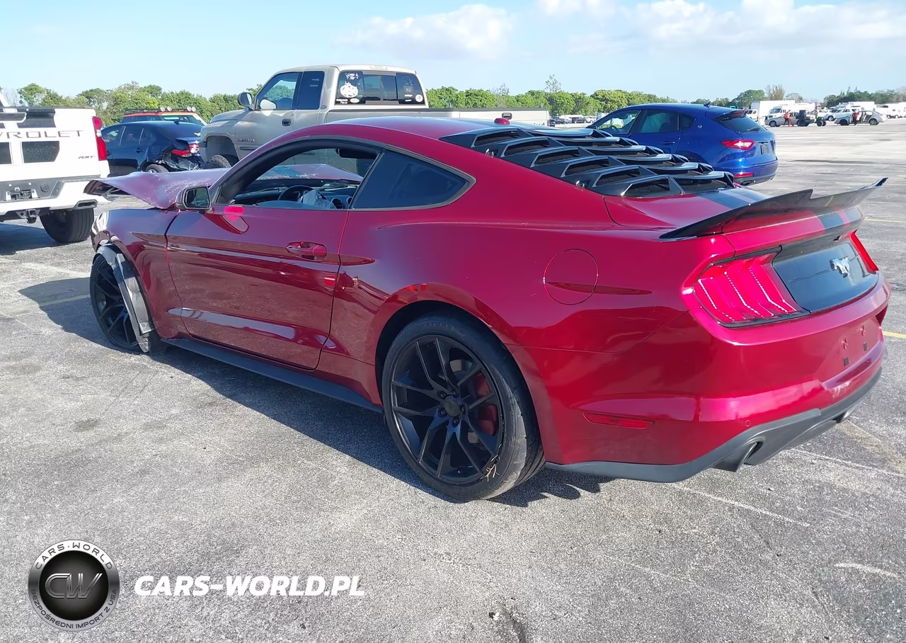 2019 Ford Mustang Ecoboost Premium VIN:1FA6P8TH2K5120321 - 3