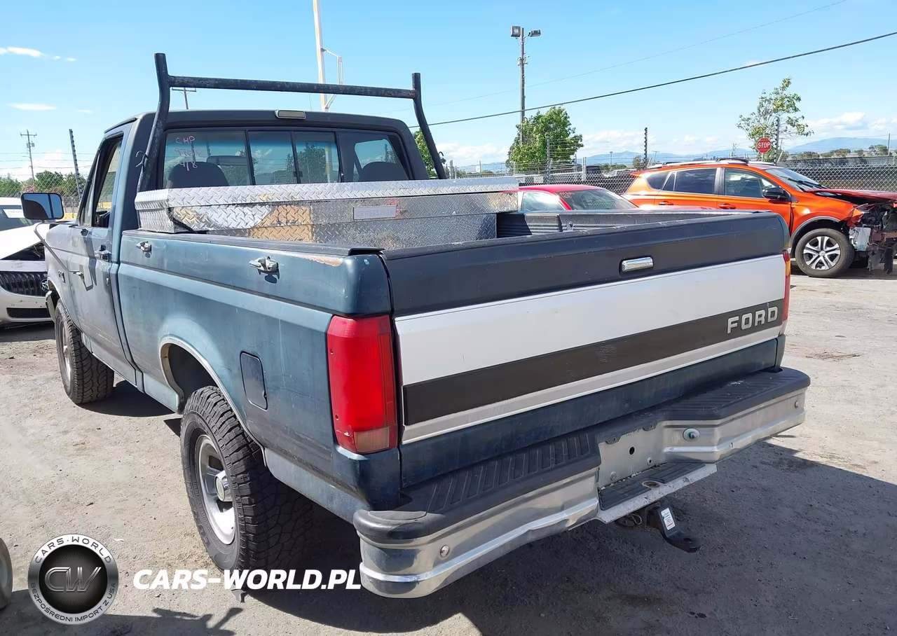 1993 Ford F150 VIN:1FTEF14N2PLA43506 - 3