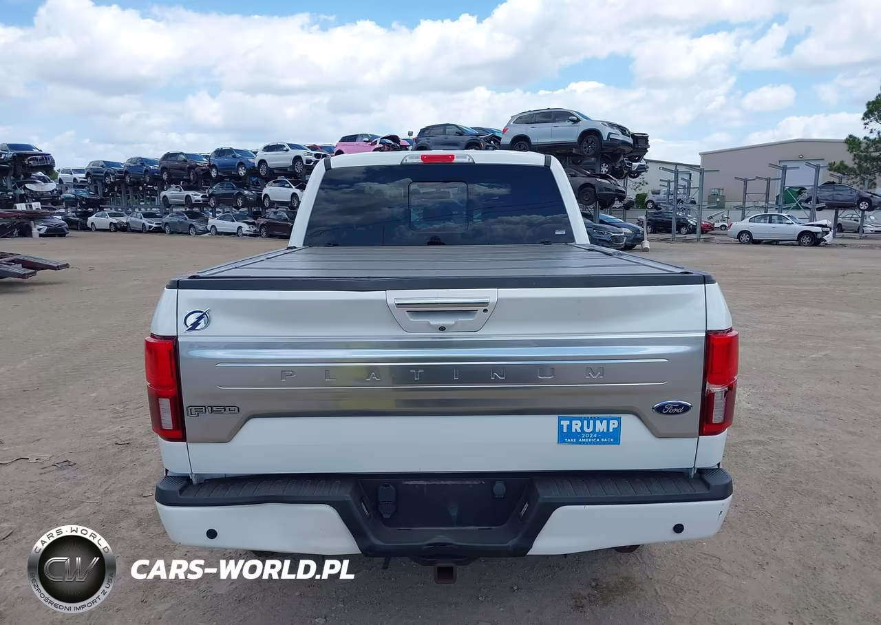 2020 Ford F-150 Platinum VIN:1FTFW1E15LFC79270 - 17