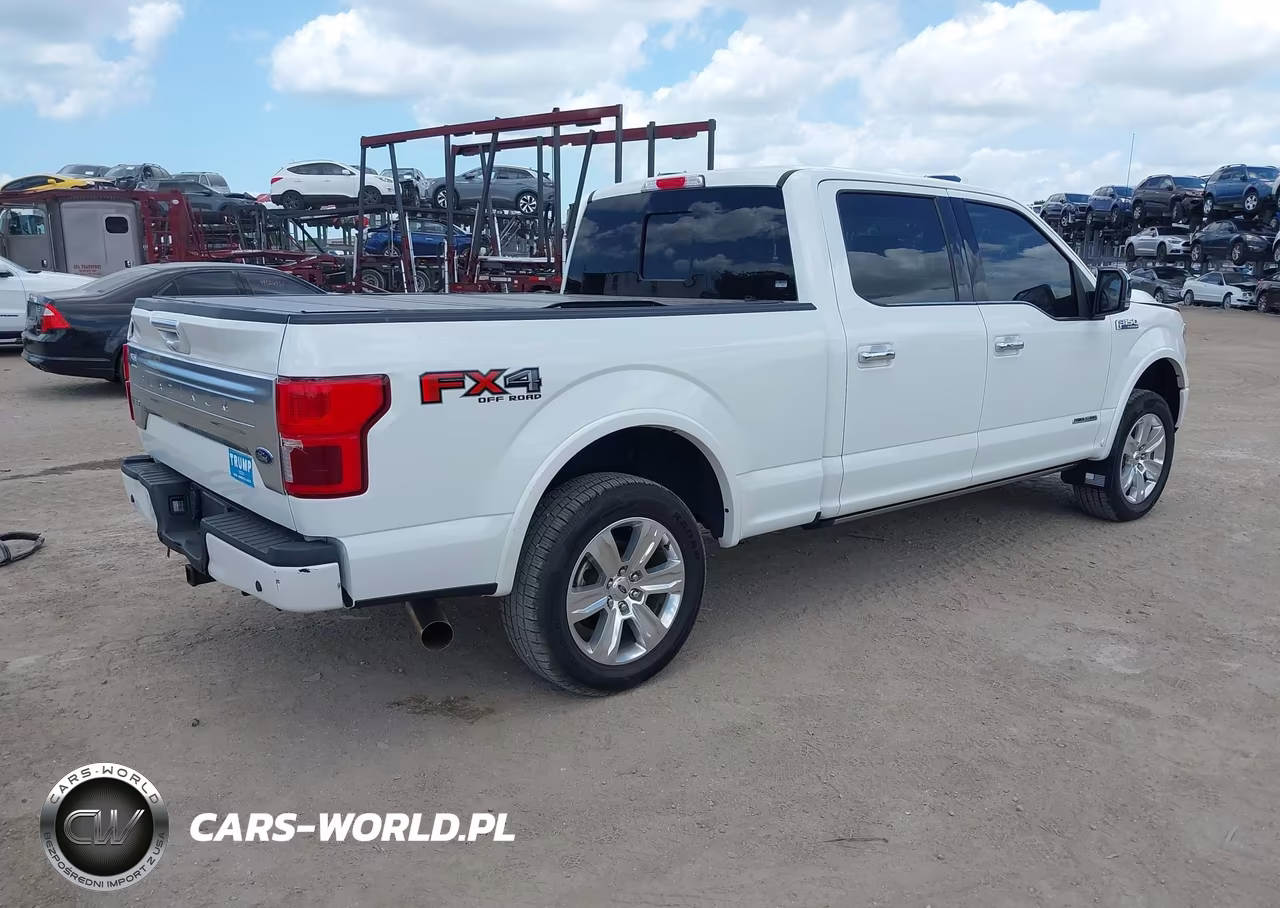 2020 Ford F-150 Platinum VIN:1FTFW1E15LFC79270 - 4