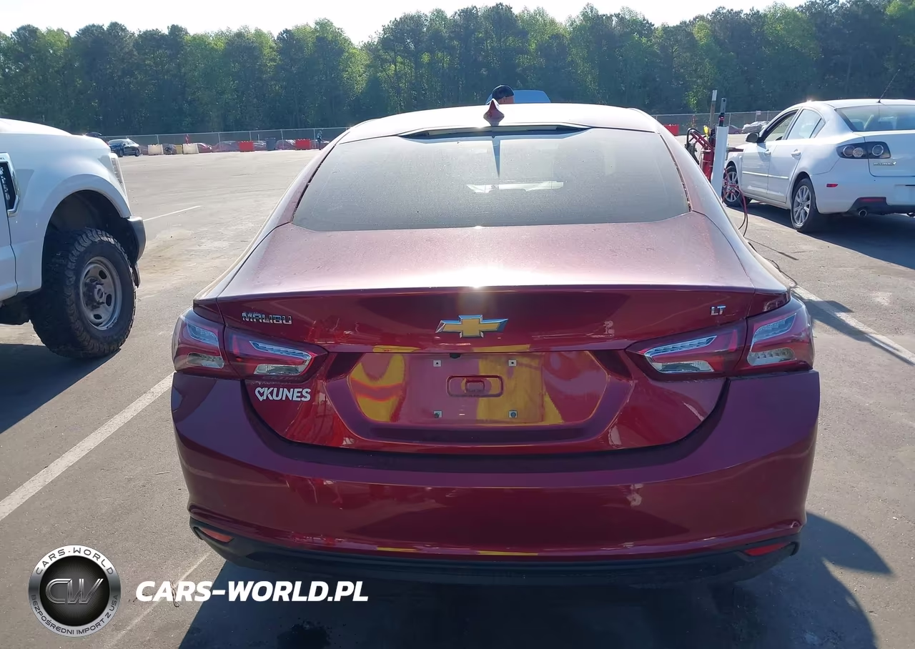 2019 Chevrolet Malibu Lt VIN:1G1ZD5ST3KF114664 - 17