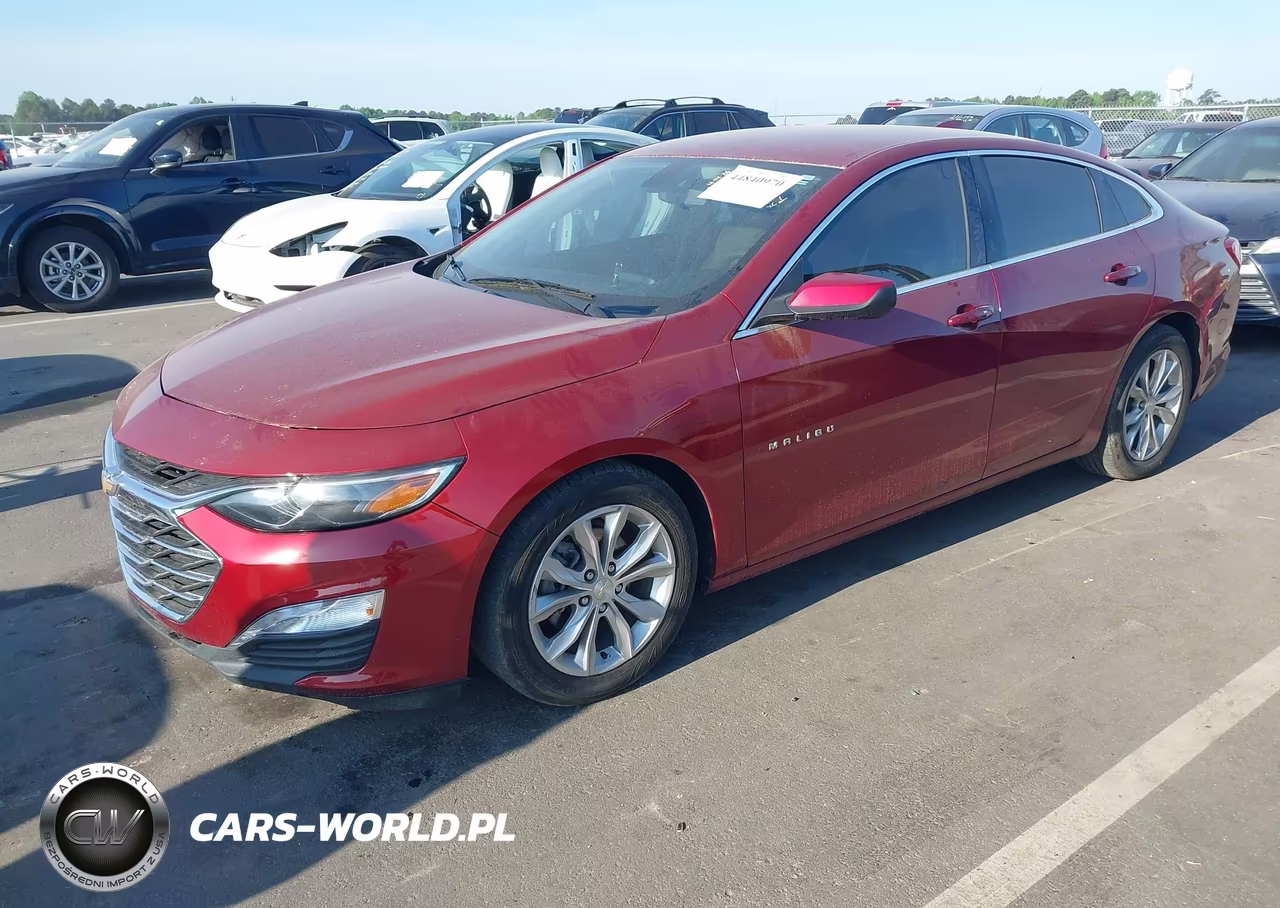 2019 Chevrolet Malibu Lt VIN:1G1ZD5ST3KF114664 - 2