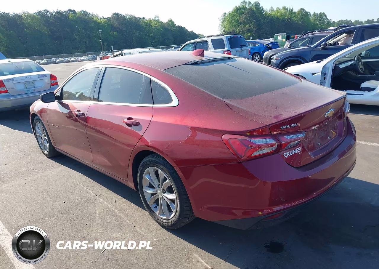 2019 Chevrolet Malibu Lt VIN:1G1ZD5ST3KF114664 - 3