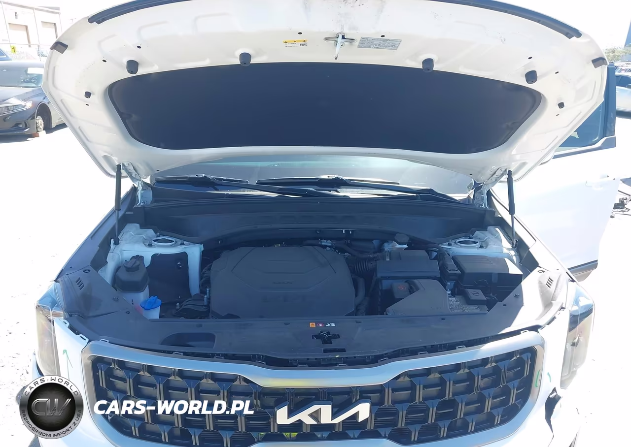 2023 Kia Telluride Ex X-Line VIN:5XYP3DGC6PG340979 - 10