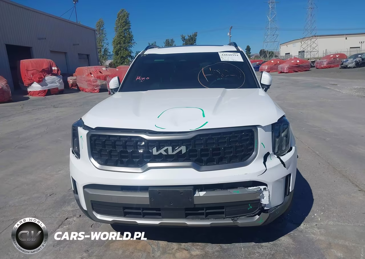 2023 Kia Telluride Ex X-Line VIN:5XYP3DGC6PG340979 - 12