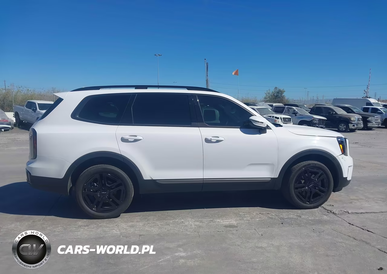 2023 Kia Telluride Ex X-Line VIN:5XYP3DGC6PG340979 - 13