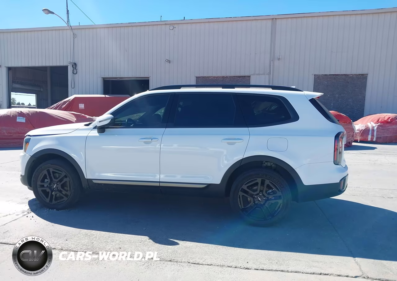 2023 Kia Telluride Ex X-Line VIN:5XYP3DGC6PG340979 - 14