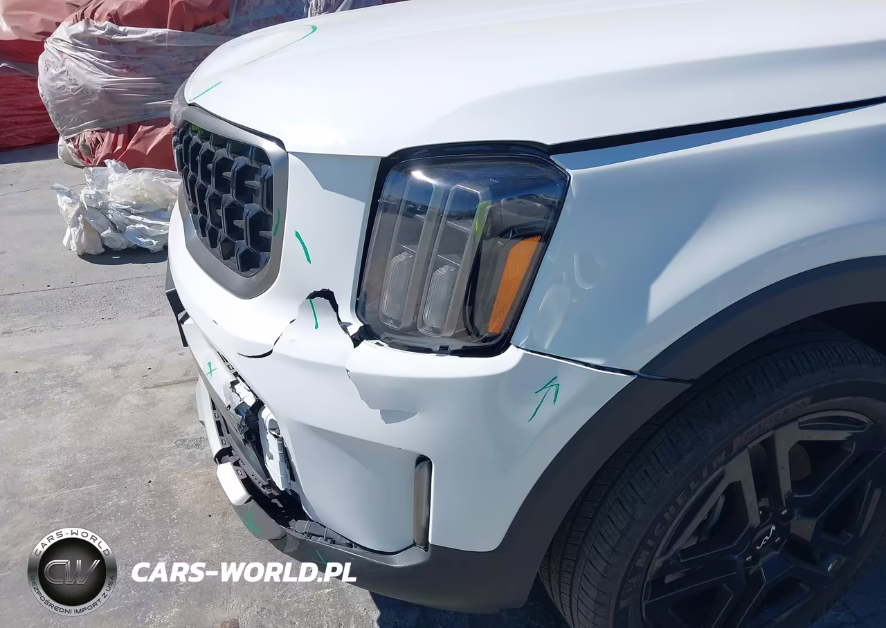 2023 Kia Telluride Ex X-Line VIN:5XYP3DGC6PG340979 - 17
