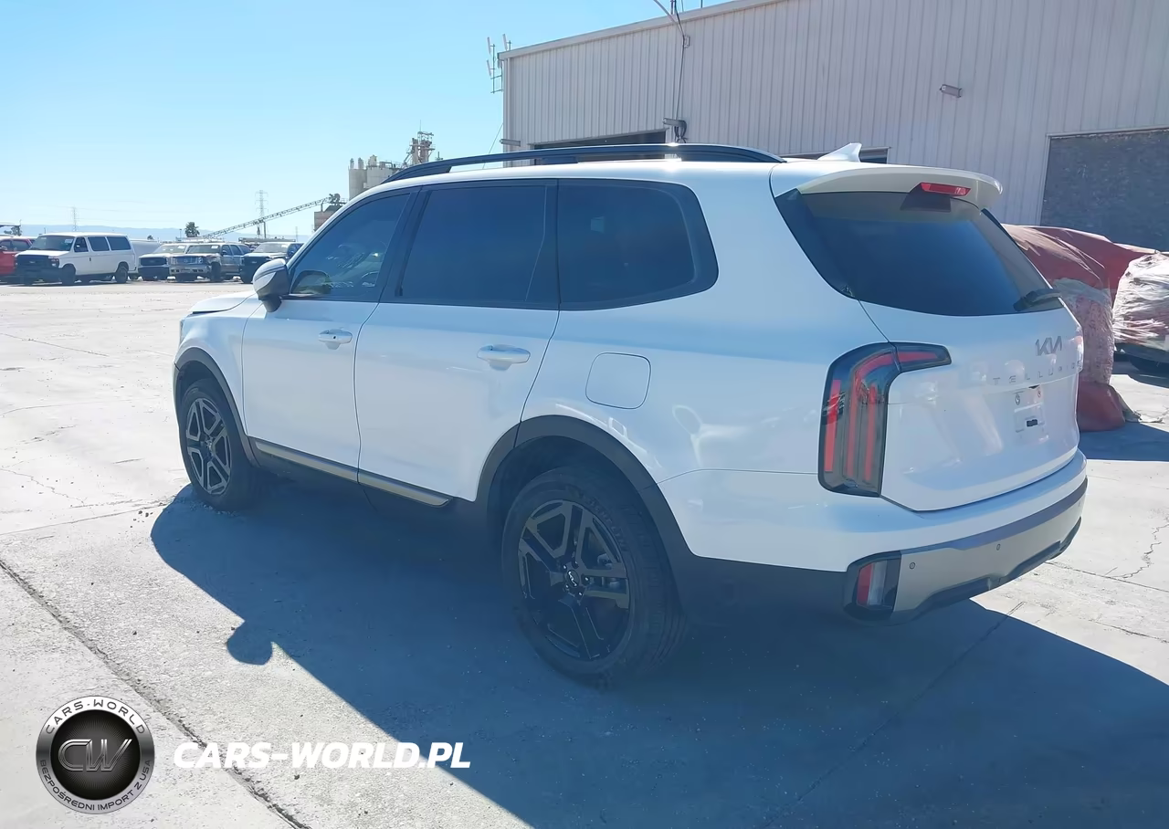2023 Kia Telluride Ex X-Line VIN:5XYP3DGC6PG340979 - 3