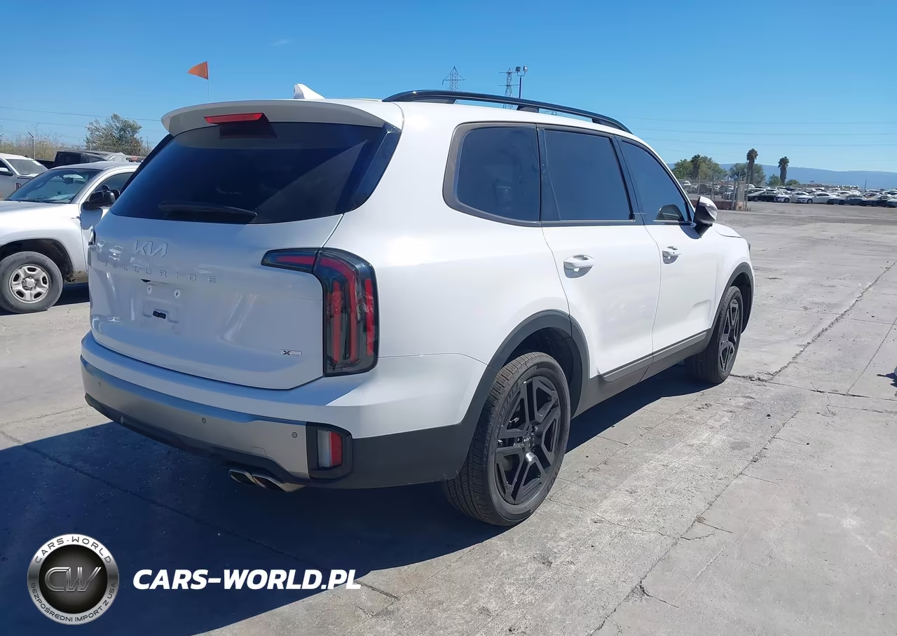2023 Kia Telluride Ex X-Line VIN:5XYP3DGC6PG340979 - 4