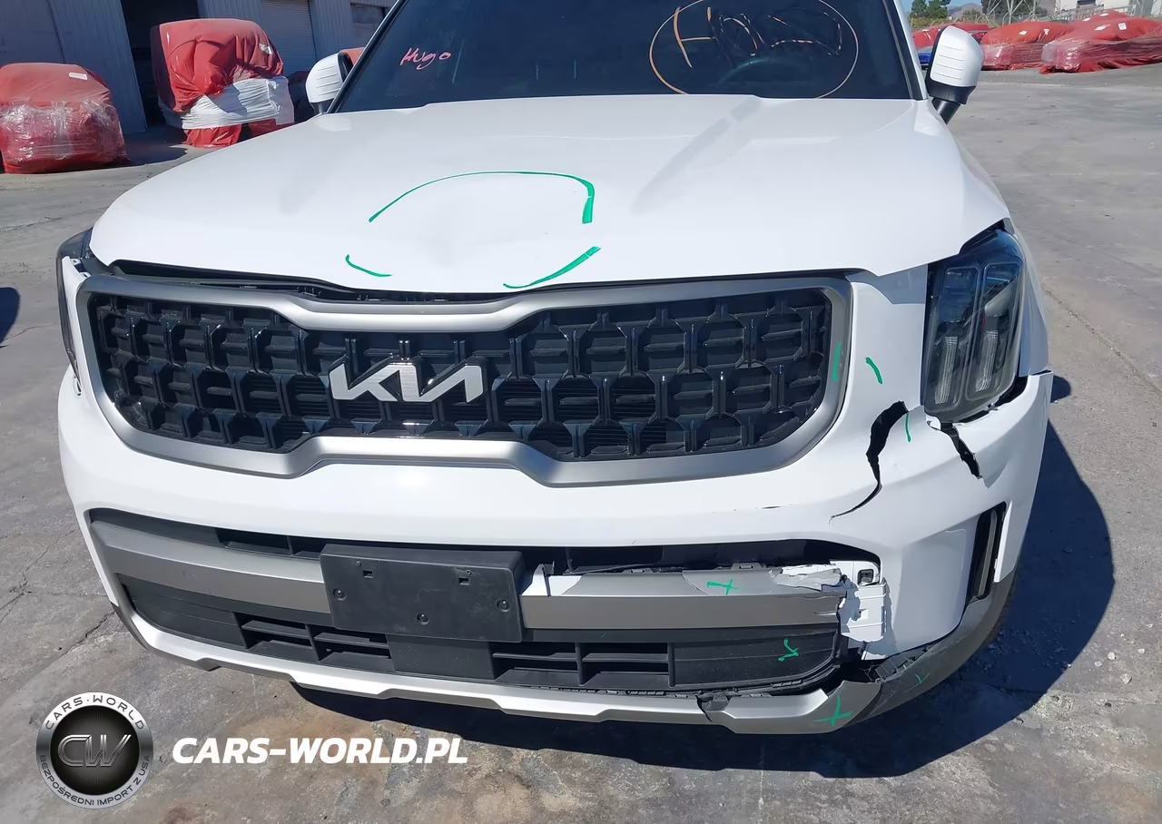 2023 Kia Telluride Ex X-Line VIN:5XYP3DGC6PG340979 - 6