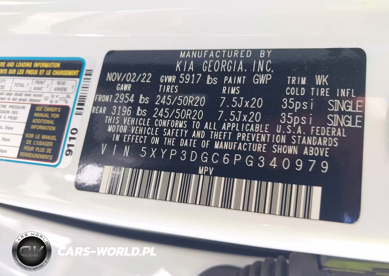 2023 Kia Telluride Ex X-Line VIN:5XYP3DGC6PG340979 - 9