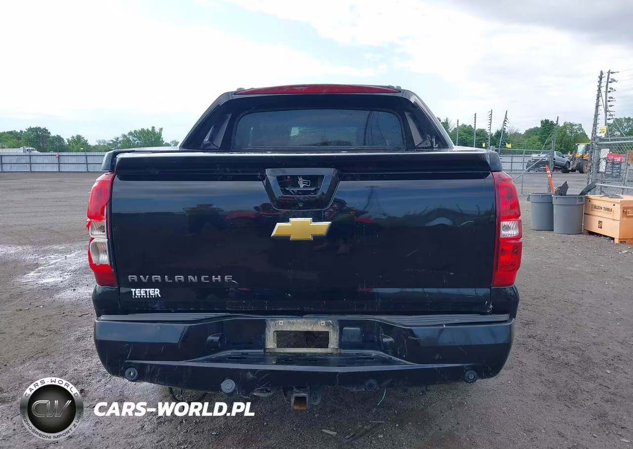 2013 Chevrolet Avalanche Ls VIN:3GNMCEE03DG198287 - 17