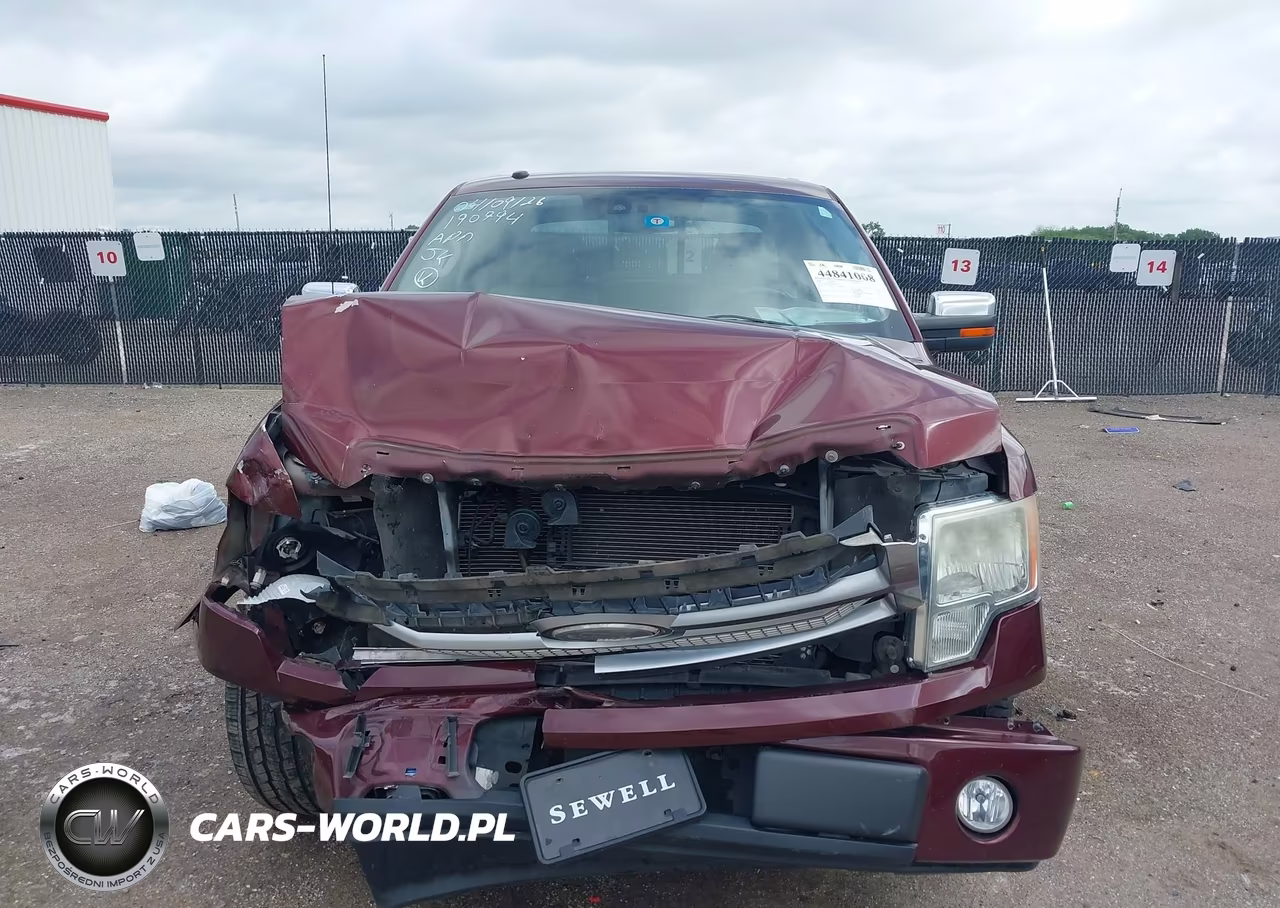2009 Ford F-150 Platinum VIN:1FTPW12V09FB26722 - 12