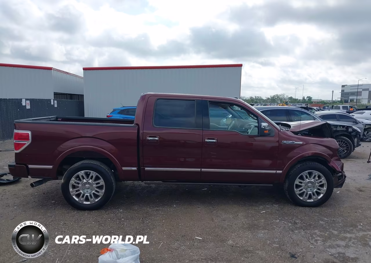 2009 Ford F-150 Platinum VIN:1FTPW12V09FB26722 - 13