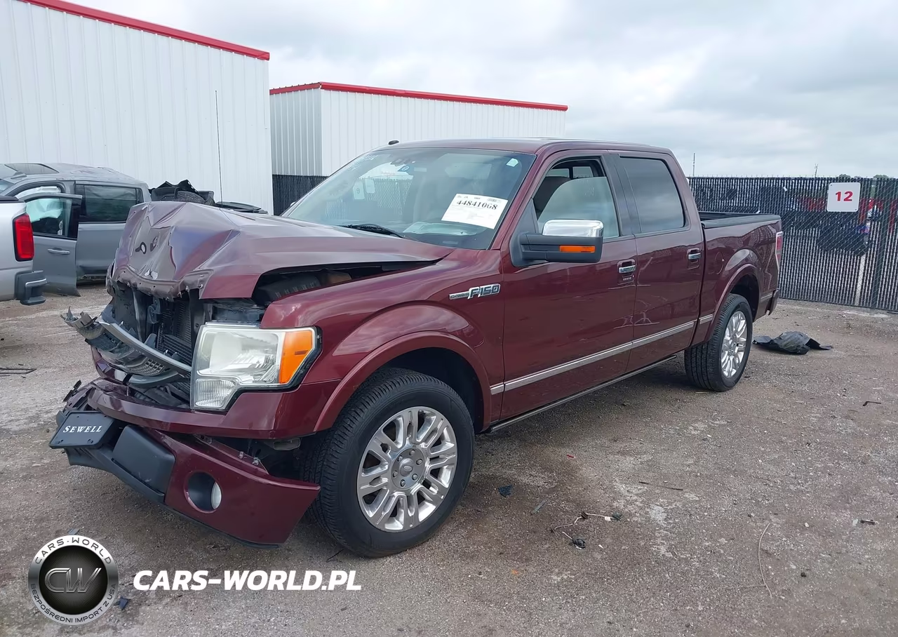 2009 Ford F-150 Platinum VIN:1FTPW12V09FB26722 - 2