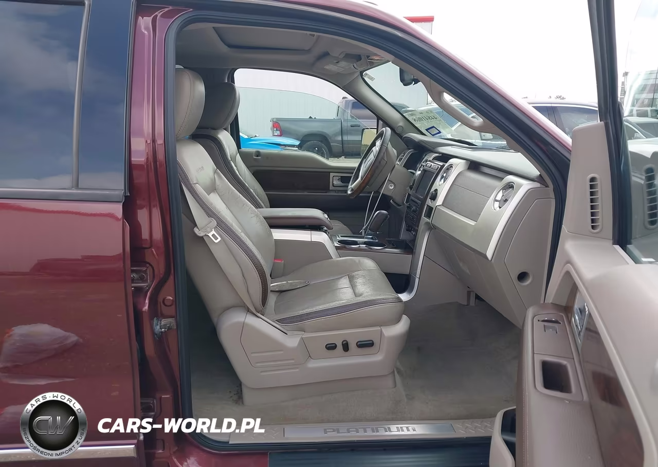 2009 Ford F-150 Platinum VIN:1FTPW12V09FB26722 - 5