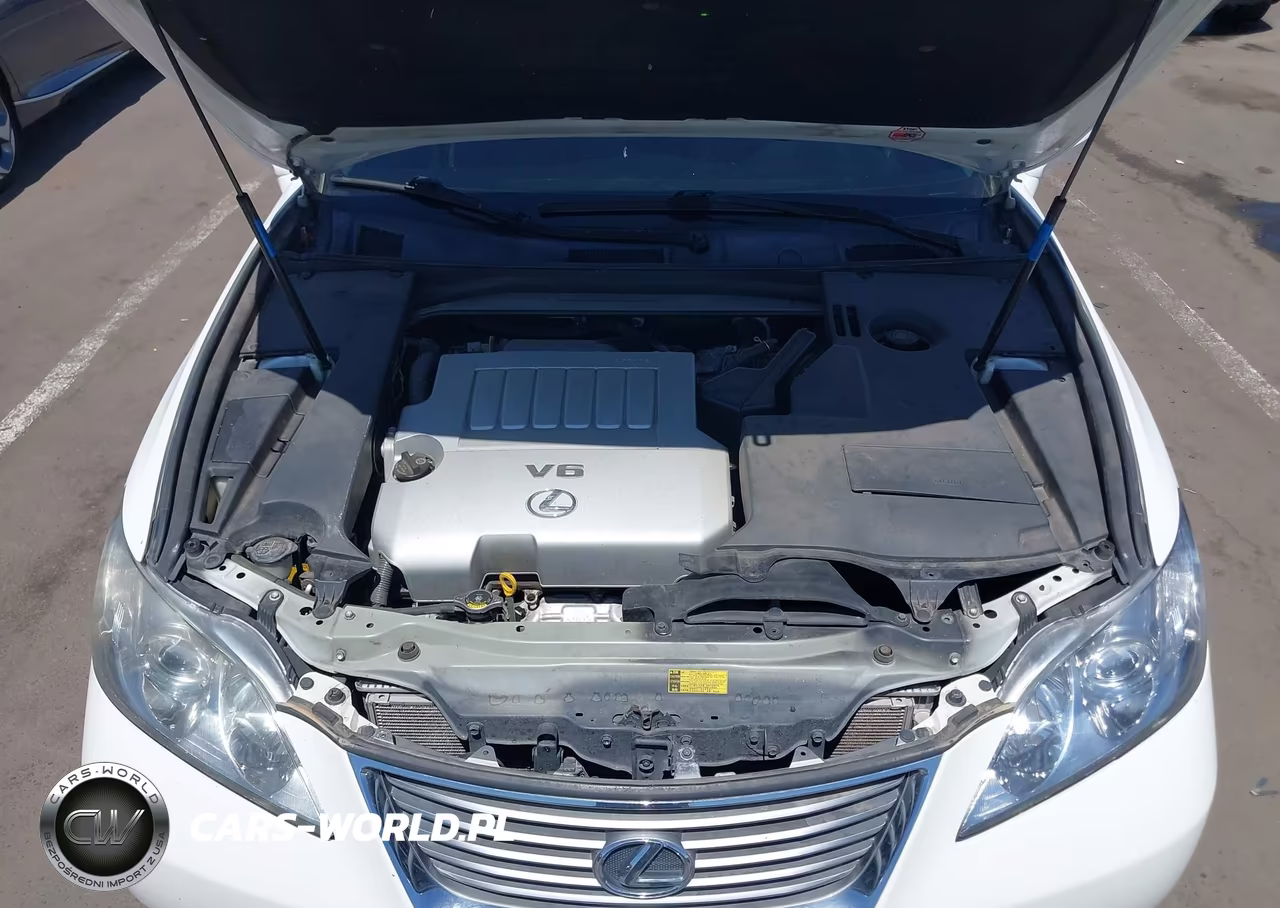 2009 Lexus Es 350 VIN:JTHBJ46G392326005 - 10
