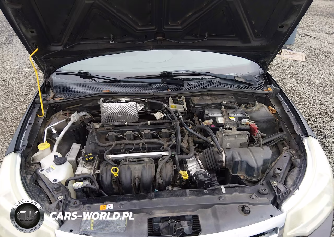 2009 Ford Focus Ses VIN:1FAHP36N49W243586 - 10