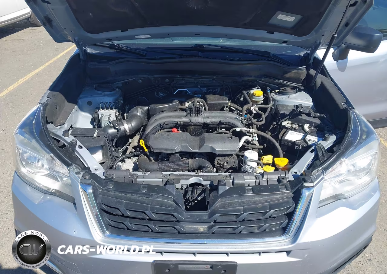 2017 Subaru Forester 2.5I Premium VIN:JF2SJAECXHH456732 - 10