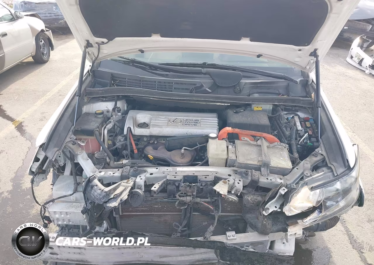 2010 Lexus Hs 250H Premium VIN:JTHBB1BA9A2025448 - 10